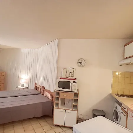 Avec Terrasse, Parking Gratuit Et Animaux Acceptés, Proche Des Thermes à - Fr-1-451-89 Appartamento Lamalou-les-Bains