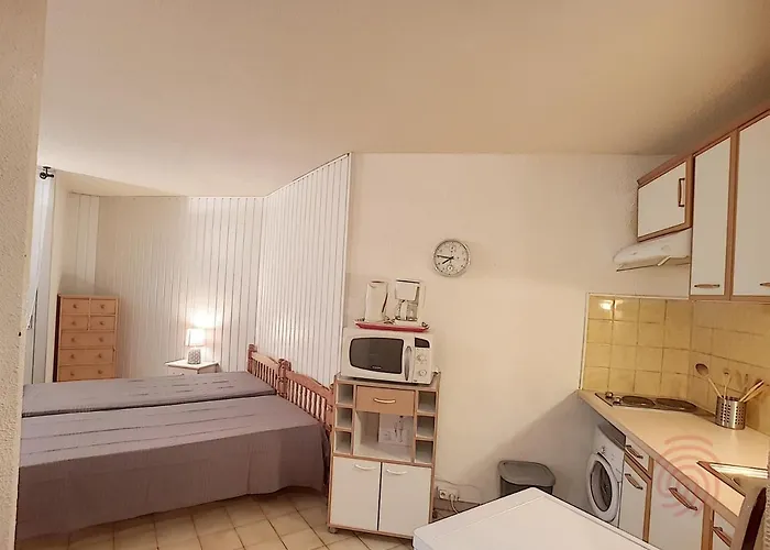 Avec Terrasse, Parking Gratuit Et Animaux Acceptes, Proche Des Thermes A - Fr-1-451-89 Διαμέρισμα Lamalou-les-Bains